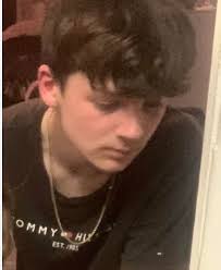 Birmingham - A body has been found in the search for a missing 14-year-old  schoolboy, police have said. Officers had been searching for Tyler Townsend,  from Stoke-on-Trent, since he was last seen