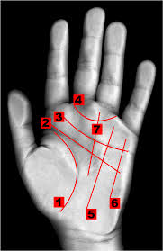 It is still practiced around the whole world, although opinions on palmistry are very different. Palm Reading Simple English Wikipedia The Free Encyclopedia