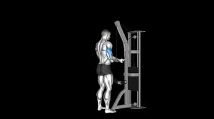 How to do reverse grip triceps pushdown. Cable Underhand Tricep Pushdown How To Video Alternatives More