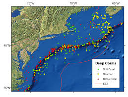 Ecology Of The Northeast U S Continental Shelf Deep