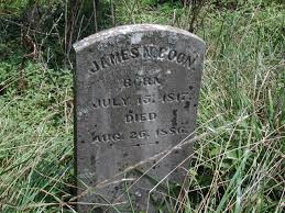 Barry-Boone Cemetery Pictures