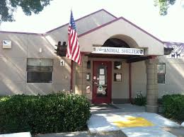 Chico pet shops form the largest chain of complete pet stores in quebec. Animal Services Licenses City Of Chico