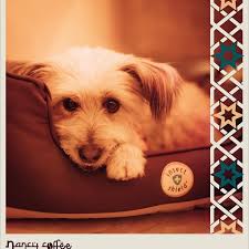 Nancy Coffee (@nancy_coffee_tn) • Instagram photos and videos