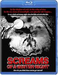 Amazon.com: Screams of a Winter Night [Blu-ray] : James L. Wilson, Gil  Glasgow, Matt Borel, Patrick Byers, Mary Agen Cox, Robin Bradley: Movies &  TV