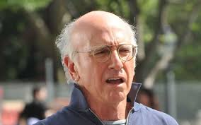 Television Critic: Nobody Wants This and Curb Your Enthusiasm