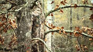 Browning maxus ii camo mossy oak bottomland 12 ga 26 3.5 shotgun Realtree Camo Wallpapers Wallpaper Cave