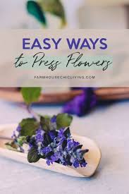 7 how can i make preserved flowers last as long as possible? Pressed Flowers Clear Soap Bar Recipe Tutorial A Victorian Pastime