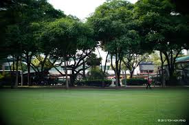 Pailin boonlong sports & fitness. Hong Lim Park And Speakers Corner The Hunter