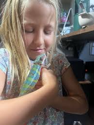 Introduction of Karl the cat