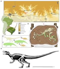 Alongside fossil skeletons, we sometimes display casts, which are made from extremely accurate molds that are shaped directly from the fossils. Oldest Carnivorous Dinosaur Fossil Unearthed In Brazil