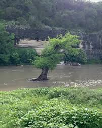 We did not find results for: Following Heavy San Antonio Area Rains Officials Warn That Tubing The Guadalupe River Is Dangerous The Daily
