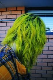 These mixed into your bleach will considerably lower the amount of damage done to your strands. Diy Hair 10 Green Hair Color Ideas Bellatory