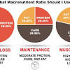 These macronutrients are the building blocks of our body. 1