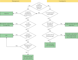 Malignant Pleural Mesothelioma An Update On Investigation