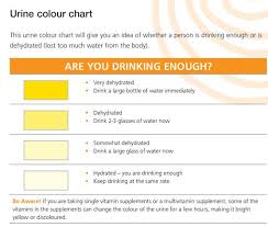 Feline Butcher Gives Us A Urine Color Chart Analysis
