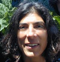 Immedium: Author Profiles: Barbara Traub