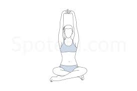 Seated Mountain Pose Parvatasana Mountain Pose Yoga Illustration Yoga For Flexibility