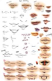 Pin On Delineate Your Lips 21 best anatomy mouth images on pinterest drawing. pin on delineate your lips
