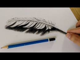 But with practice and learning the techniques from other free creative 3d drawing and images any one can master the art. How To Draw 3d Feather Cool 3d Trick Feather Art Feather Art Drawing Feather Drawing Art Drawings Simple
