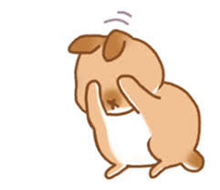 Japanese Bunny Sticker Silent Ver Creators Stickers Dwarf Rabbit Line Sticker Stickers