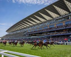 ascot results today