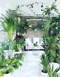 55 Indoor Plants Decor Ideas For Your Home These Trendy Planters Ideas Would Gain You Amazing Compliments Check O Plant Decor Indoor Plant Decor Indoor Plants