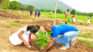 موضوع تعبير عن العمل الجماعي ملزمتي