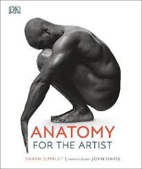 It is large and powerful because it has the job of keeping the trunk of the body in an erect posture. Anatomy For The Artist By Sarah Simblet Readings Com Au