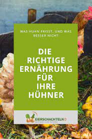 Was Huhn Frisst Und Was Besser Nicht Huhner Futter Huhner Huhnerfutter