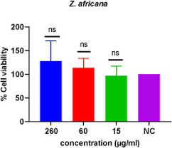 Image result for Zanha africana