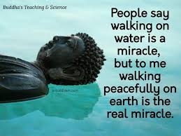 Have A Great Day Buddha Quotes Inspirational Buddha Quote Buddhism Quote