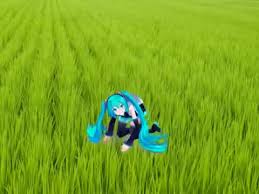 Rising storm 2 vietnam : Welcome To The Rice Fields On Coub