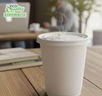 EcoQuality 100 Pack White Flat Tear Back Lids for Disposable Paper Coffee  Cups - Universal Size Fits 10,12,16,20oz - BPA Free - Snap Closure -  Plastic ...