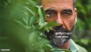 6.260 Frank Barba Stock Photos, High-Res Pictures, and Images