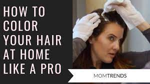 The garnier hair color makeover. How To Color Your Hair At Home Like A Pro Youtube