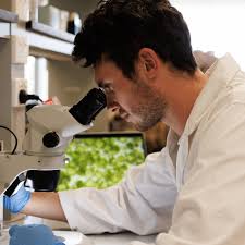 This is us. Curious? www.plantsforspace.com/about