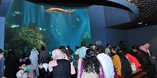 18 ألف زائر لـ المركز العلمي في عيد الفطر