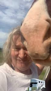 The Hounds are getting into the Christmas Spirit and reflecting