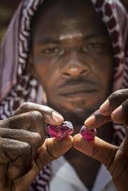 Gem News International