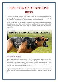 How can i manage an aggressive dog? Tips To Train Aggressive Dogs By Dogexpress Issuu