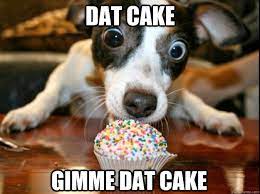Cake Dog Memes Quickmeme
