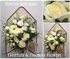Signup for your plants today! You Ve Got Mail Buy Online Or Call 01493 722411