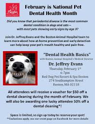 Neglecting oral hygiene in dogs can lead to issues like tartar build up, gum disease, bad. National Pet Dental Month Discussion 02 01 18