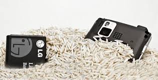 Resultado de imagem para celular no arroz