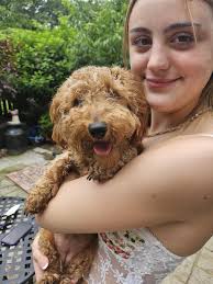 Little Miss Moppet is all ready for a place to land that is called home.  She came to us just over a month ago as an emaciated 6 month old puppy with