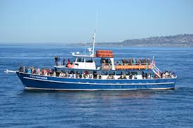 A post shared by newport whales for san diego visitor whale watching coupons, please feel free to sign up for our monthly newsletter & follow us on facebook. 50 Off San Diego Whale Watching Neziak Com
