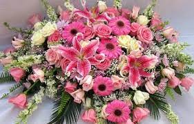 We did not find results for: About Us Flower Basket Baton Rouge La