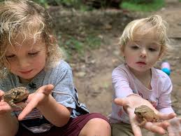 Nature guides for Northern Virginia families with young children