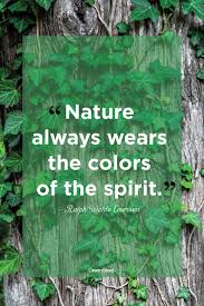 It won't bite (well, i guess it could if you plan on cornering a raccoon). 58 Best Nature Quotes Inspirational Sayings About Nature