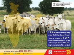 28 States Are Participating Under Rashtriyagokulmission And An Amount Of Rs 547 Crore Has Been Released To The States Upto Ma Animals Animal Husbandry Farmer